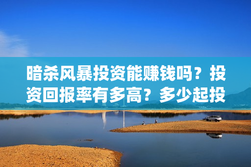 暗杀风暴投资能赚钱吗？投资回报率有多高？多少起投(暗杀风暴百科)