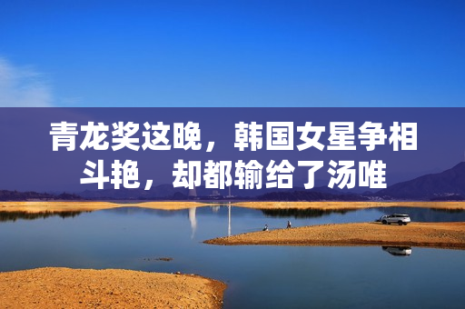 青龙奖这晚，韩国女星争相斗艳，却都输给了汤唯