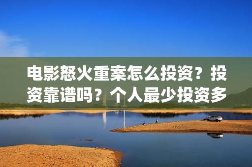 电影怒火重案怎么投资？投资靠谱吗？个人最少投资多少？(电影 怒火重案)