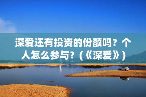 深爱还有投资的份额吗?个人怎么参与?(《深爱》) 深爱还有投资的份额吗?个人怎么参与?(《深爱》)