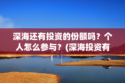 深海还有投资的份额吗？个人怎么参与？(深海投资有限公司)