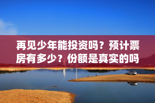 再见少年能投资吗？预计票房有多少？份额是真实的吗？(再见少年可以投资吗)