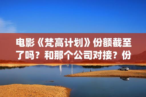 电影《梵高计划》份额截至了吗？和那个公司对接？份额真实吗？(梵高计划出品人)