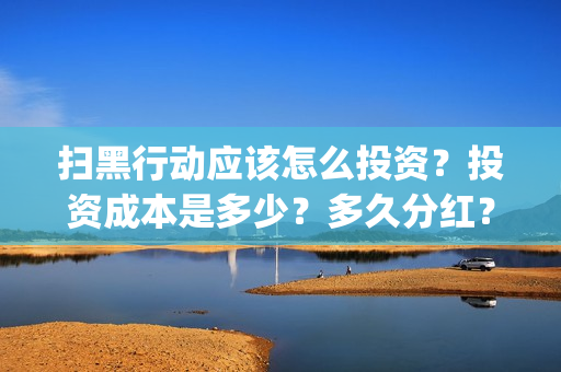 扫黑行动应该怎么投资？投资成本是多少？多久分红？(扫黑行动应该怎么拍摄的)