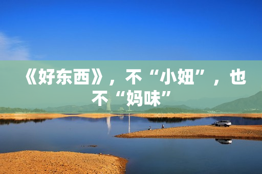 《好东西》,不“小妞”,也不“妈味” 《好东西》,不“小妞”,也不“妈味”