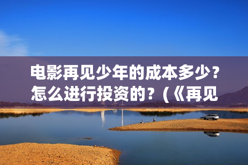 电影再见少年的成本多少？怎么进行投资的？(《再见少年》)