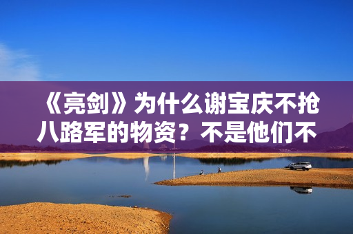 《亮剑》为什么谢宝庆不抢八路军的物资？不是他们不抢，是不敢抢
