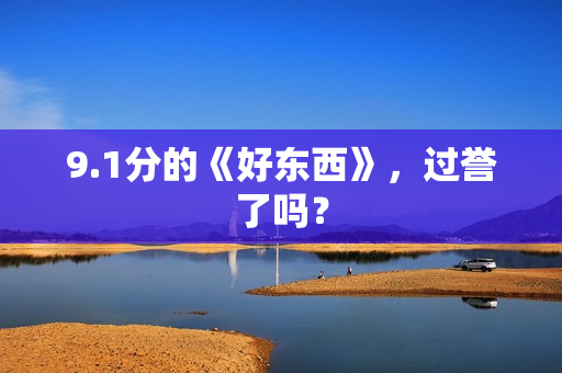 9.1分的《好东西》,过誉了吗? 9.1分的《好东西》,过誉了吗?
