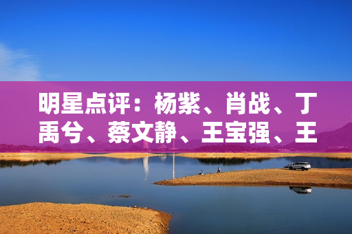 明星点评：杨紫、肖战、丁禹兮、蔡文静、王宝强、王鹤棣