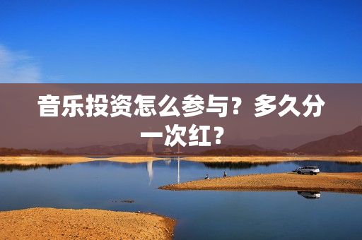 音乐投资怎么参与？多久分一次红？
