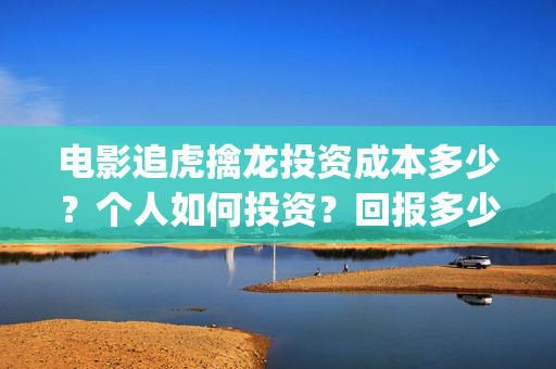 电影追虎擒龙投资成本多少？个人如何投资？回报多少？(电影追虎擒龙投屏播放)