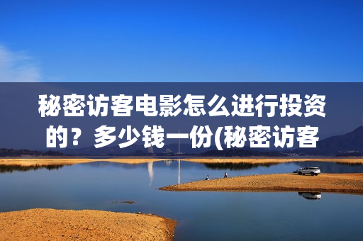 秘密访客电影怎么进行投资的？多少钱一份(秘密访客影片解析)