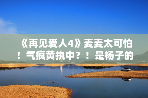 《再见爱人4》麦麦太可怕！气疯黄执中？！是杨子的“救世主”！