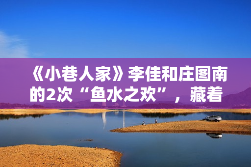 《小巷人家》李佳和庄图南的2次“鱼水之欢”，藏着成年人的算计