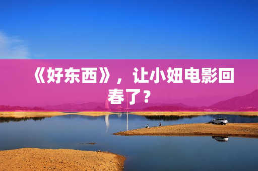《好东西》，让小妞电影回春了？