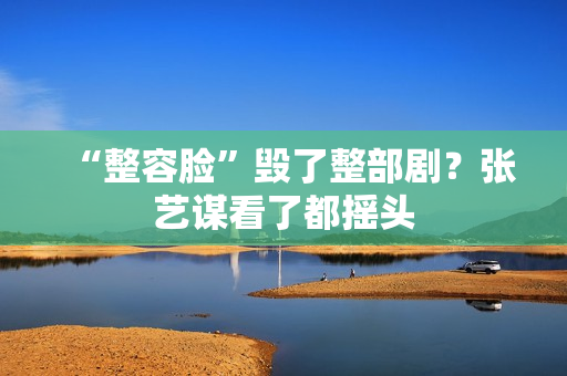 “整容脸”毁了整部剧?张艺谋看了都摇头 “整容脸”毁了整部剧?张艺谋看了都摇头