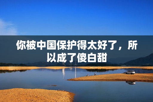 你被中国保护得太好了，所以成了傻白甜
