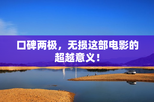 口碑两极，无损这部电影的超越意义！