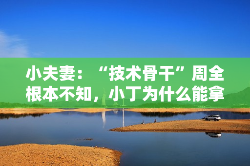 小夫妻:“技术骨干”周全根本不知,小丁为什么能拿到20万年薪? 小夫妻:“技术骨干”周全根本不知,小丁为什么能拿到20万年薪?