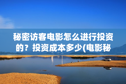秘密访客电影怎么进行投资的？投资成本多少(电影秘密访客视频)