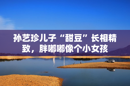 孙艺珍儿子“甜豆”长相精致，胖嘟嘟像个小女孩