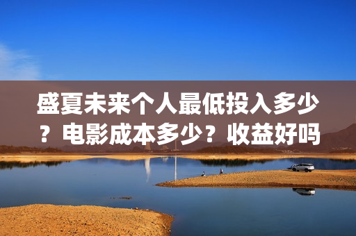 盛夏未来个人最低投入多少？电影成本多少？收益好吗？(盛夏未来中的dj)