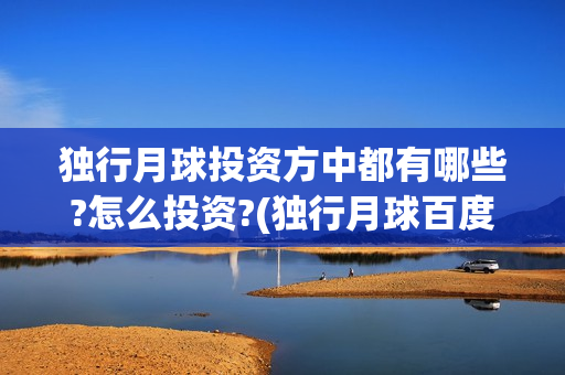 独行月球投资方中都有哪些?怎么投资?(独行月球百度百科)