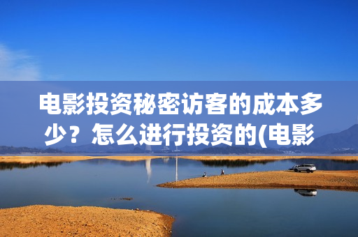 电影投资秘密访客的成本多少？怎么进行投资的(电影投资秘密访客演员表)
