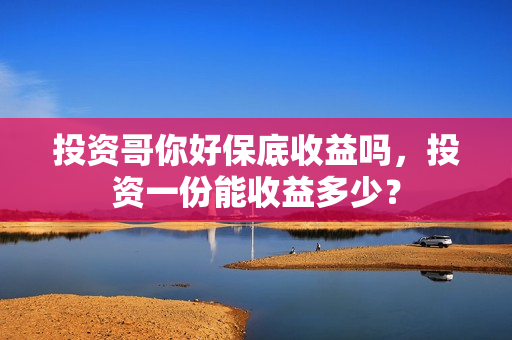投资哥你好保底收益吗，投资一份能收益多少？