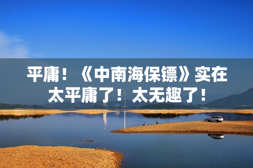 平庸！《中南海保镖》实在太平庸了！太无趣了！