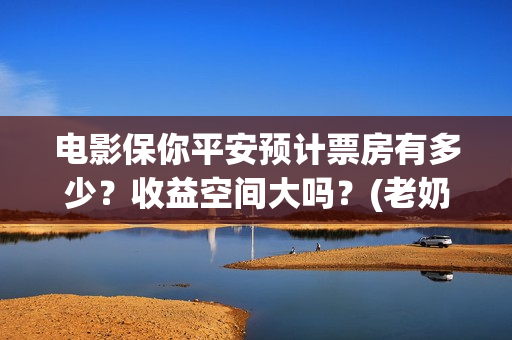 电影保你平安预计票房有多少？收益空间大吗？(老奶奶说保你平安什么意思)
