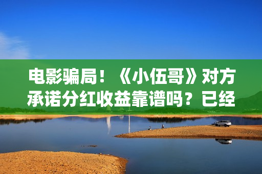 电影骗局！《小伍哥》对方承诺分红收益靠谱吗？已经合同认购可以追回吗？——抵制耐克(骗局改编电影)