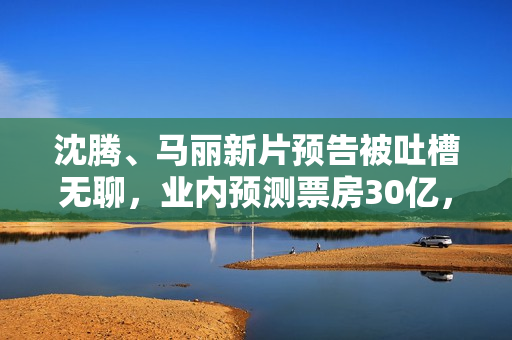 沈腾、马丽新片预告被吐槽无聊，业内预测票房30亿，网友不看好
