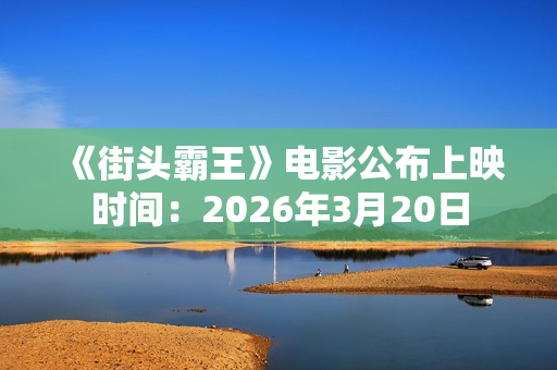 《街头霸王》电影公布上映时间：2026年3月20日