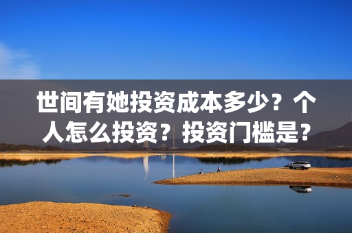 世间有她投资成本多少？个人怎么投资？投资门槛是？(世间有她电影投资)