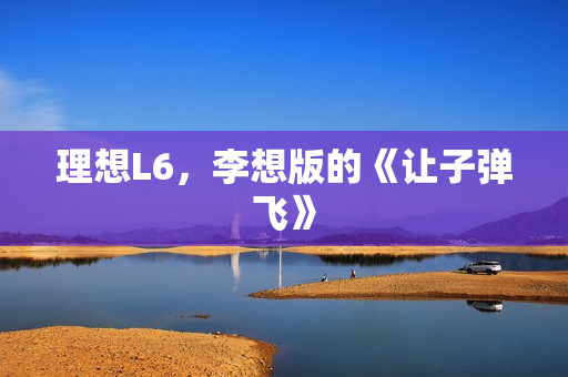理想L6，李想版的《让子弹飞》