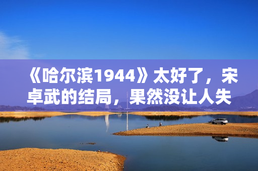 《哈尔滨1944》太好了，宋卓武的结局，果然没让人失望