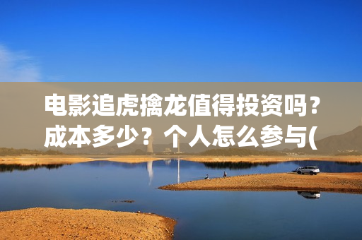 电影追虎擒龙值得投资吗？成本多少？个人怎么参与(电影《追虎擒龙》)