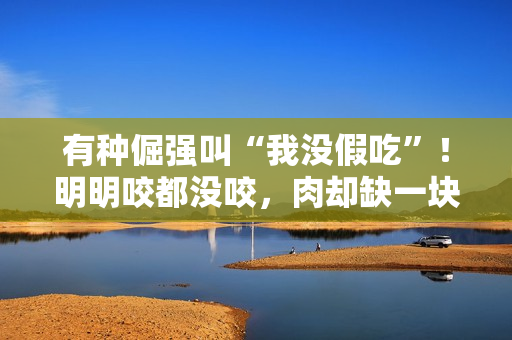 有种倔强叫“我没假吃”!明明咬都没咬,肉却缺一块,当观众瞎吗 有种倔强叫“我没假吃”!明明咬都没咬,肉却缺一块,当观众瞎吗