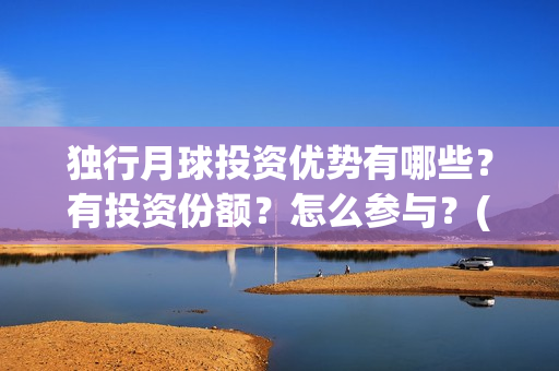 独行月球投资优势有哪些？有投资份额？怎么参与？(独行月球什么时候上映)