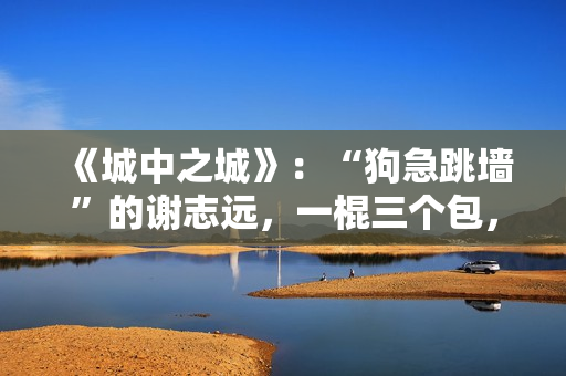 《城中之城》：“狗急跳墙”的谢志远，一棍三个包，赵辉没有服软