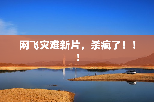 网飞灾难新片，杀疯了！！！