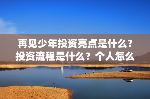 再见少年投资亮点是什么？投资流程是什么？个人怎么参与(再见少年联合出品方)