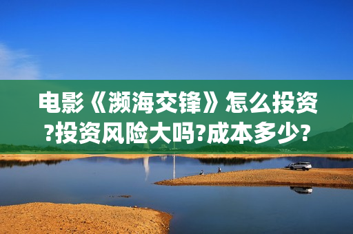 电影《濒海交锋》怎么投资?投资风险大吗?成本多少?(电影《濒海交锋》票房预测)