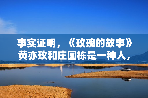 事实证明，《玫瑰的故事》黄亦玫和庄国栋是一种人，但后者更自私