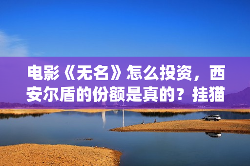 电影《无名》怎么投资，西安尔盾的份额是真的？挂猫眼吗？(电影无名剧情介绍)