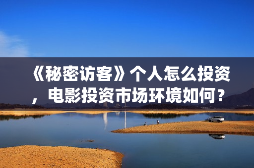 《秘密访客》个人怎么投资,电影投资市场环境如何?(秘密访客最全解析) 《秘密访客》个人怎么投资,电影投资市场环境如何?(秘密访客最全解析)