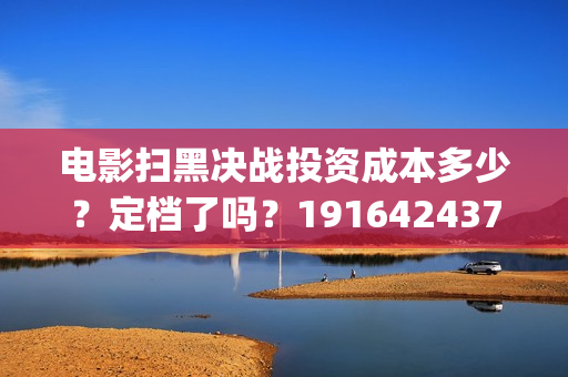 电影扫黑决战投资成本多少？定档了吗？19164243723(扫黑·决战电影)