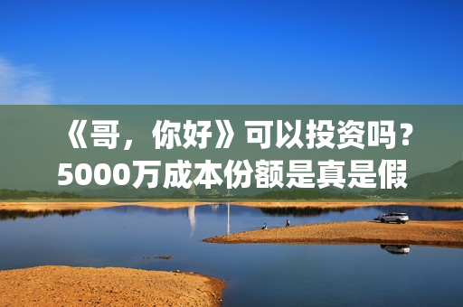 《哥，你好》可以投资吗？5000万成本份额是真是假？(你好哥哥表情包)