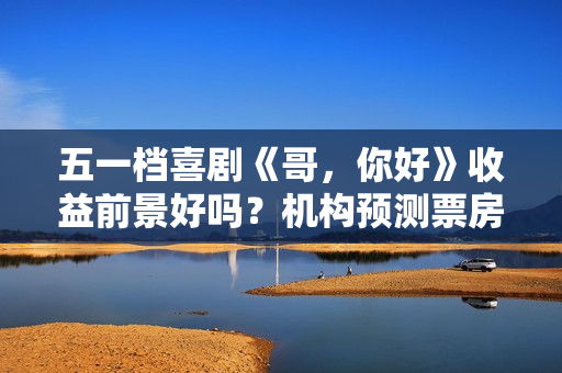 五一档喜剧《哥，你好》收益前景好吗？机构预测票房多少？怎么投资？